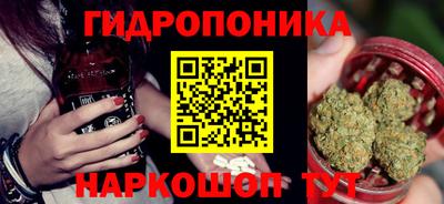 spice Чебоксары
