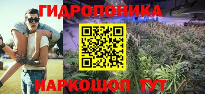 шишки Чебаркуль