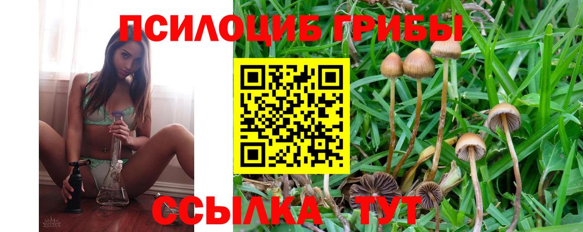 хочу   Псилоцибиновые грибы Magic Shrooms  Вход с VPN  Тавда  Псилоцибиновые грибы GOLDEN TEACHER 