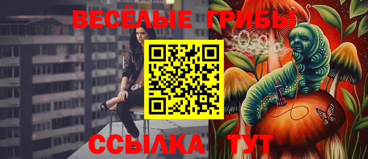 Галлюциногенные грибы мухоморы Тавда