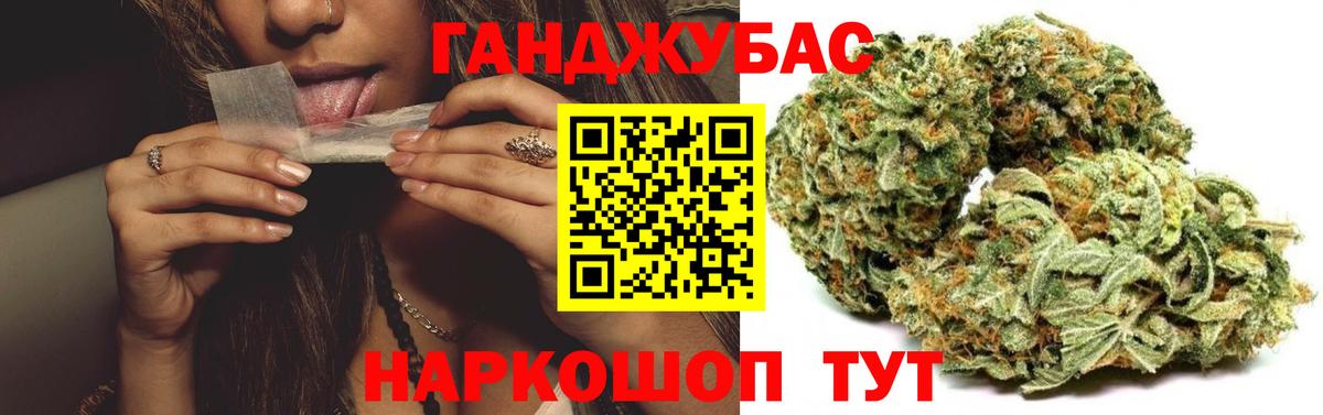 Конопля гибрид Тавда